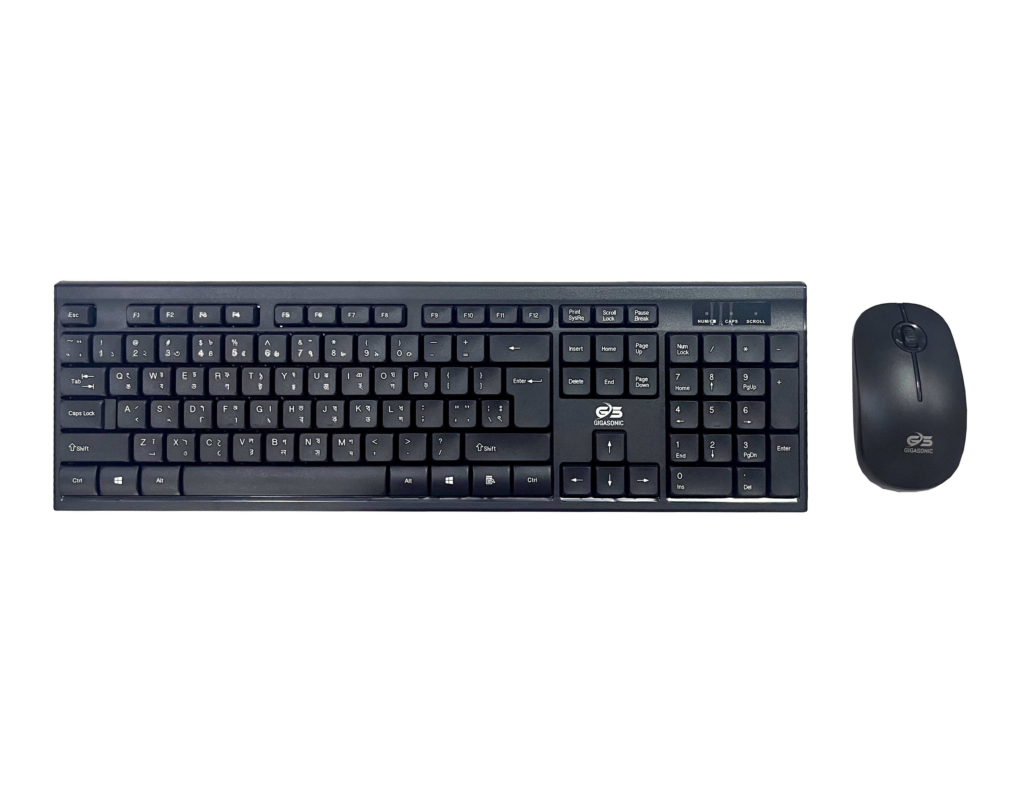 GIGASONIC WLC666GS Wireless Combo